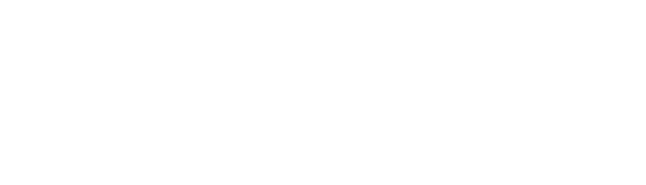 The white Skixer logo on a transparent background.